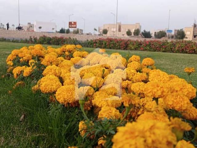 Property for sale in کراچی ڈویژن, North Waziristan