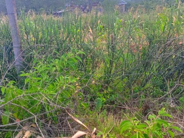 Land for sale in Yatta