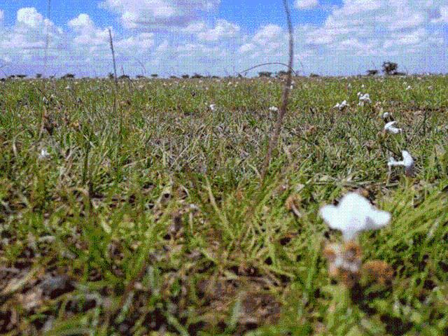 Land for sale in Rumuruti