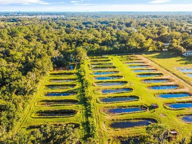 Land for sale in Wimauma, Hillsborough County