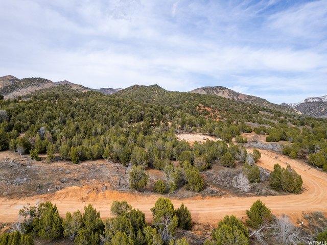 Land for sale in Birdseye, Utah