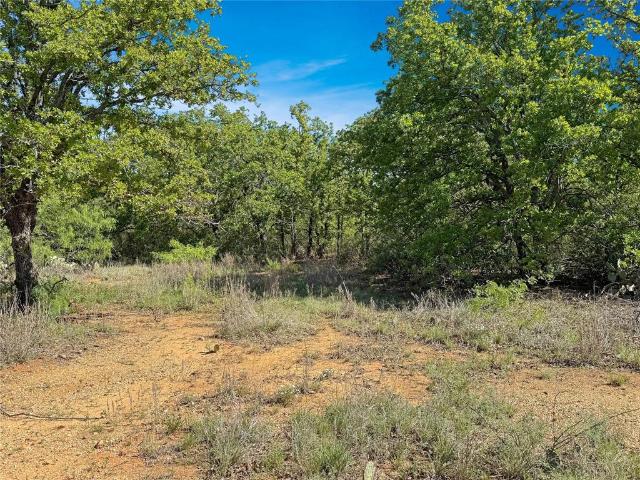 Land for sale in Cisco, Texas
