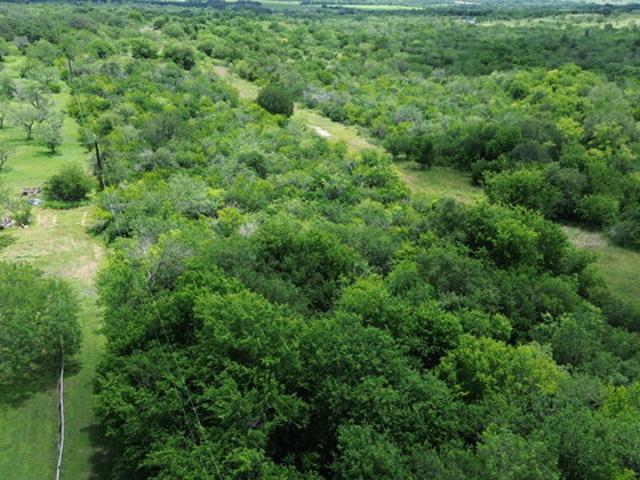 Land for sale in Saint Hedwig, Texas