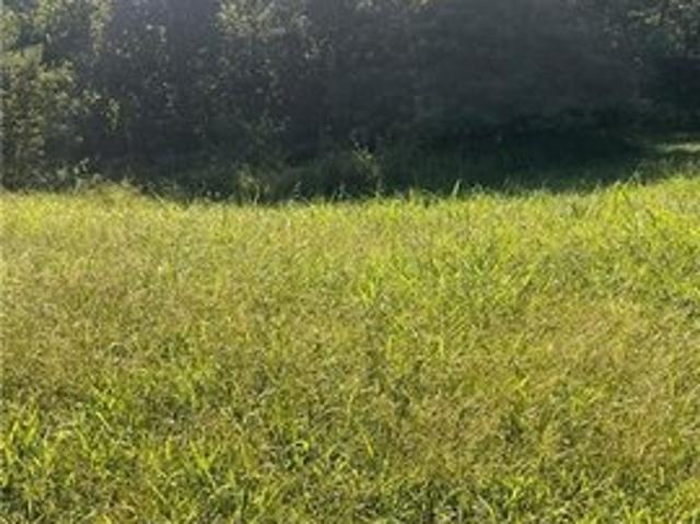 Land for sale in Riverside, Platte County