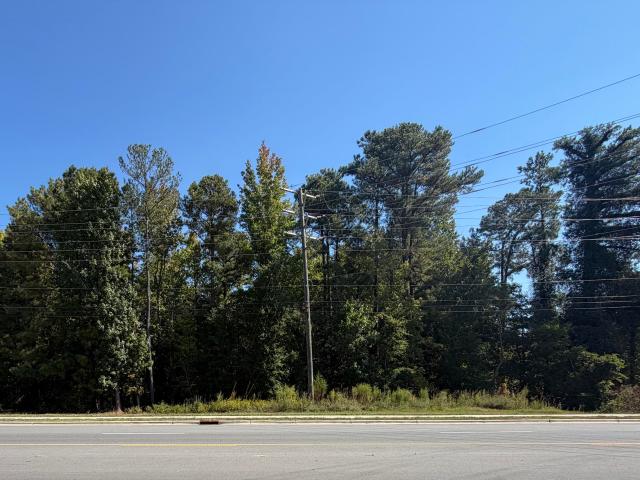 Land for sale in Holly Springs, Wake County