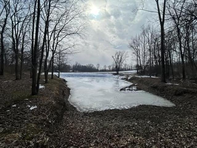 Land for sale in Hillsdale, Michigan