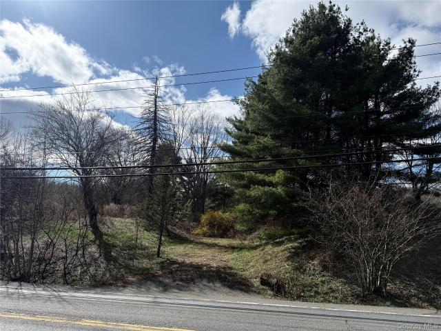 Land for sale in Amenia, New York