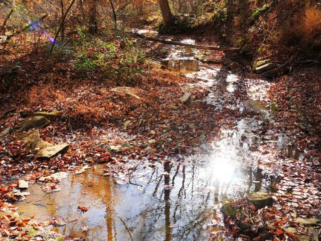 Land for sale in Edmonton, Kentucky