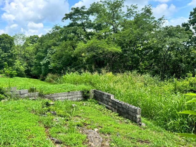 Land for sale in Frankfort, Kentucky