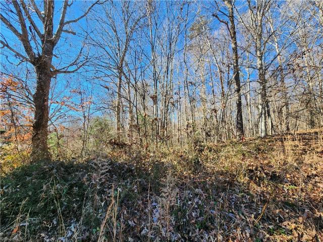 Property for sale in Ronda, North Carolina