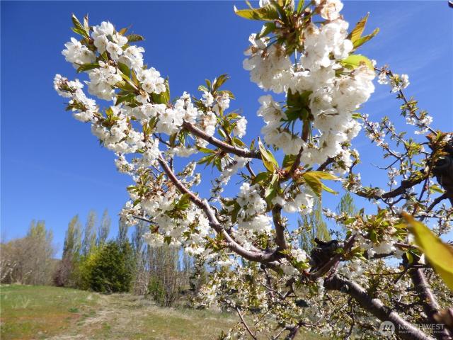 Land for sale in Bridgeport, Washington