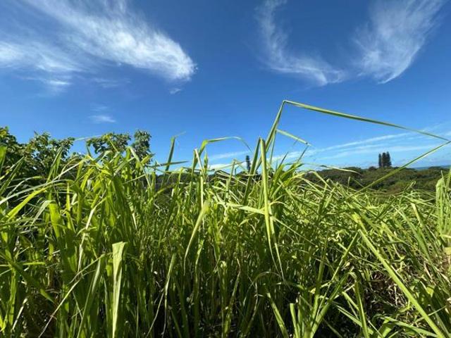 Land for sale in Ugu District Municipality, Kwazulu-natal