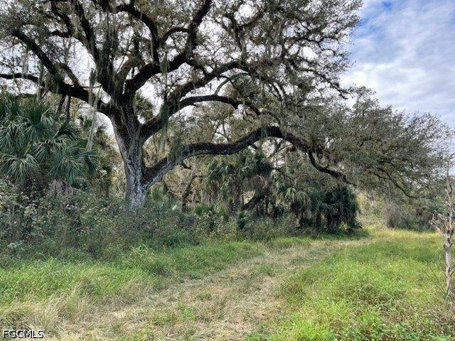 Land for sale in Labelle, Florida