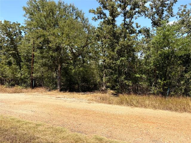 Land for sale in Somerville, Texas