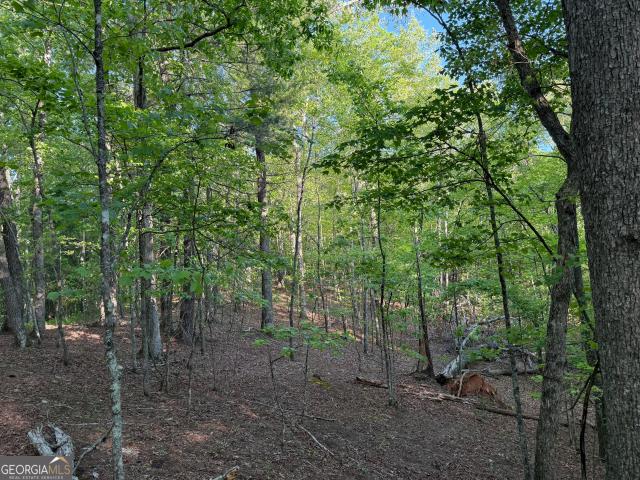 Land for sale in Mineral Bluff, Georgia