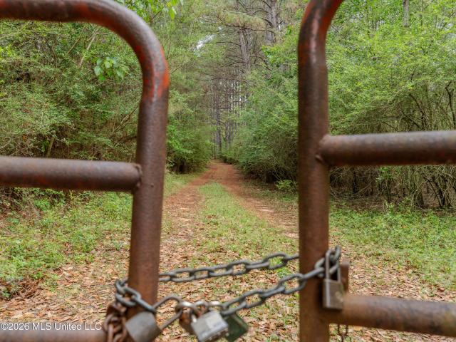 Land for sale in Poplarville, Mississippi