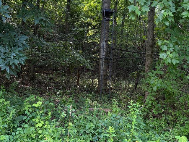 Land for sale in Glenville, Pennsylvania