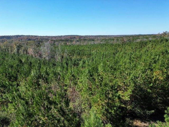 Land for sale in Eufaula, Alabama