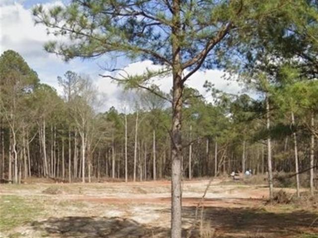 Land for sale in Loganville, Georgia
