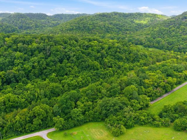 Land for sale in Tennessee