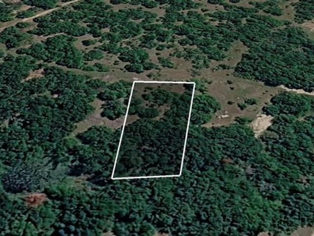 Land for sale in Navarro, Texas
