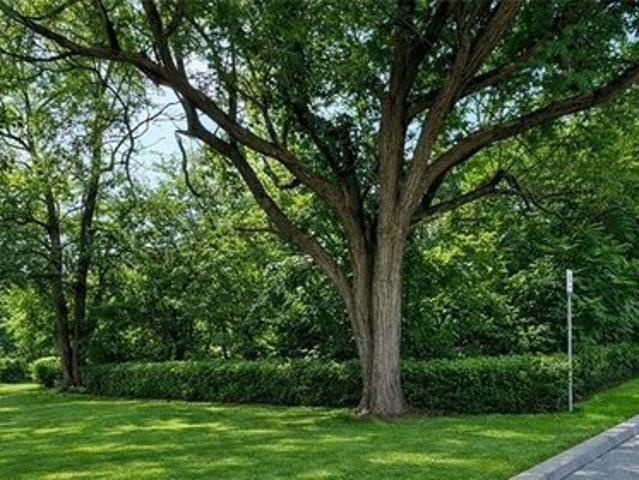 Land for sale in North Apollo, Pennsylvania