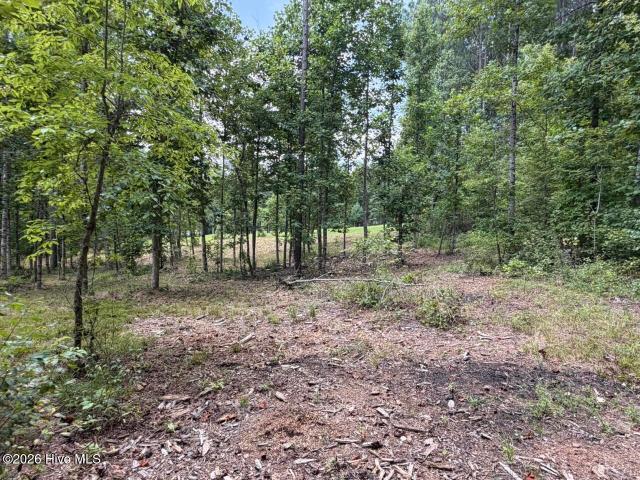 Land for sale in Murphy, North Carolina