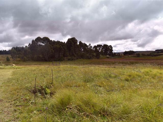 Land for sale in Dullstroom, Mpumalanga