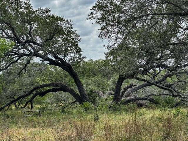 Land for sale in Smiley, Texas