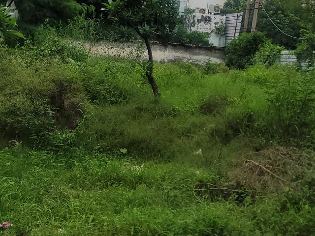 Land for sale in Hariana