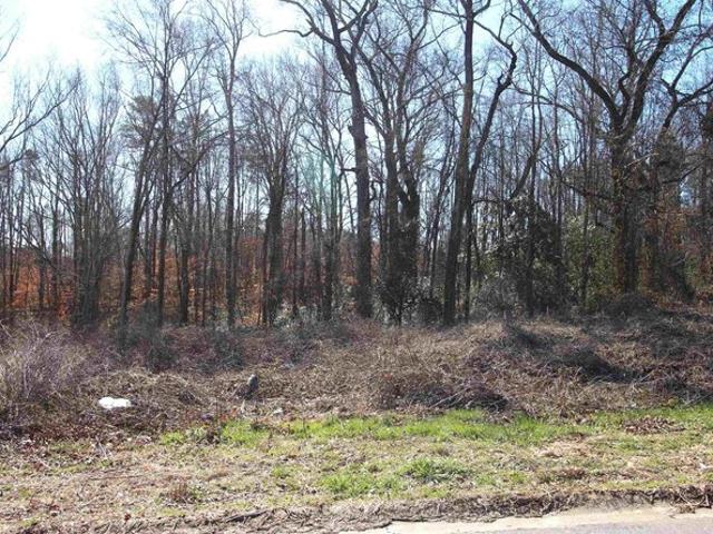 Land for sale in Roebuck, South Carolina