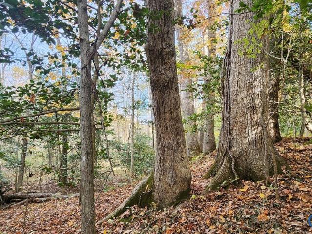 Land for sale in Virginia