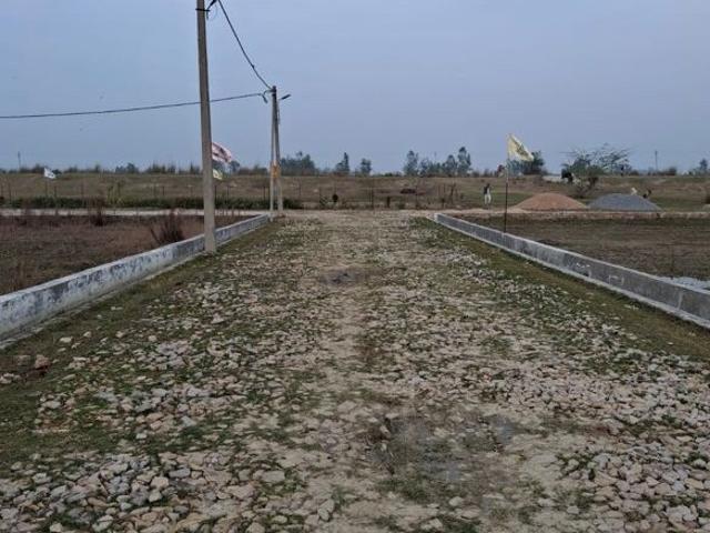 Land for sale in Lakhana, Arunachal Pradesh