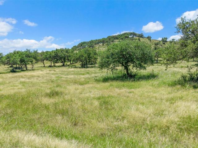 Farm for sale in Blanco, Texas