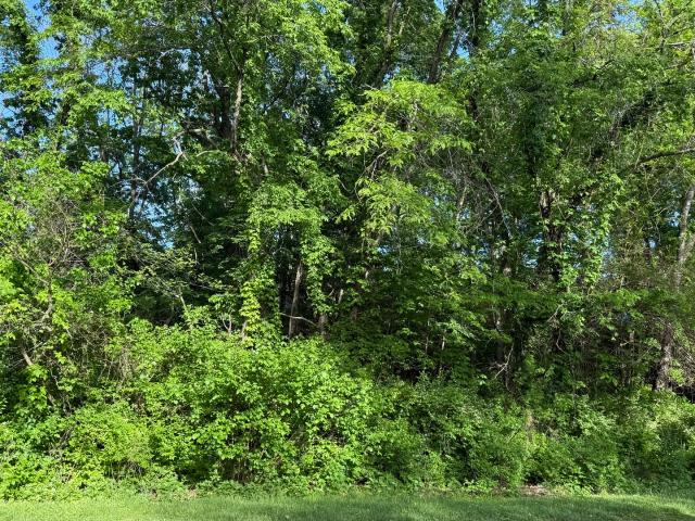 Land for sale in Dixon, Illinois