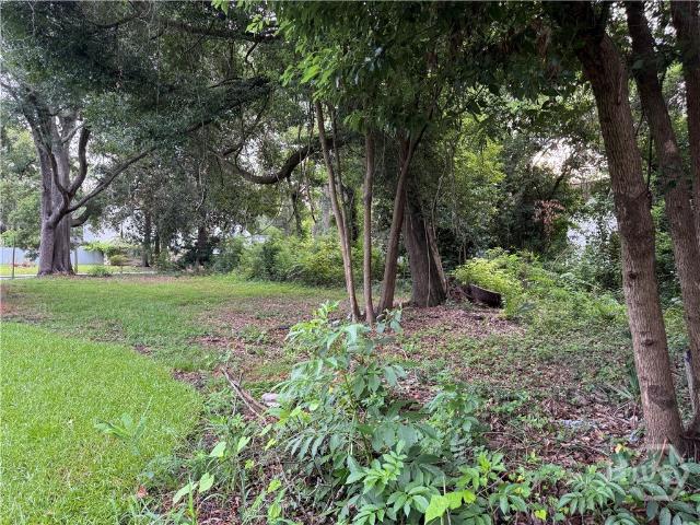 Land for sale in Savannah, Georgia