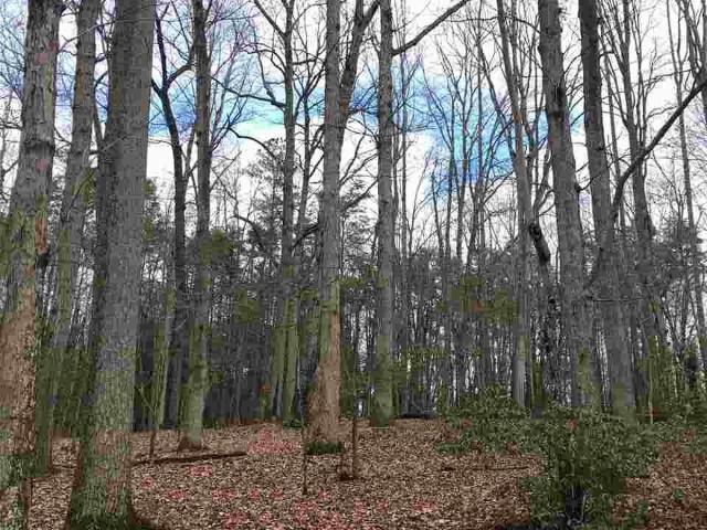 Land for sale in Virginia