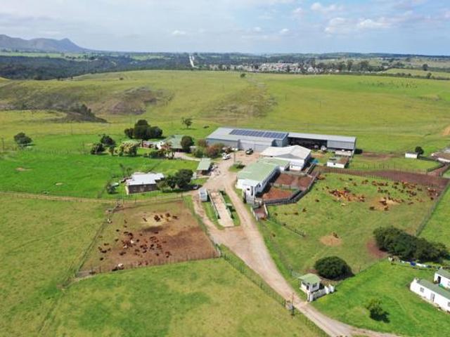 Farm for sale in Cape St Francis, Eastern Cape