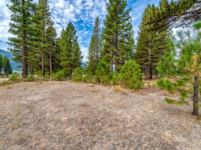 Land for sale in California