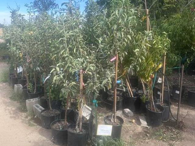 Commercial for sale in Tehachapi, Kern County