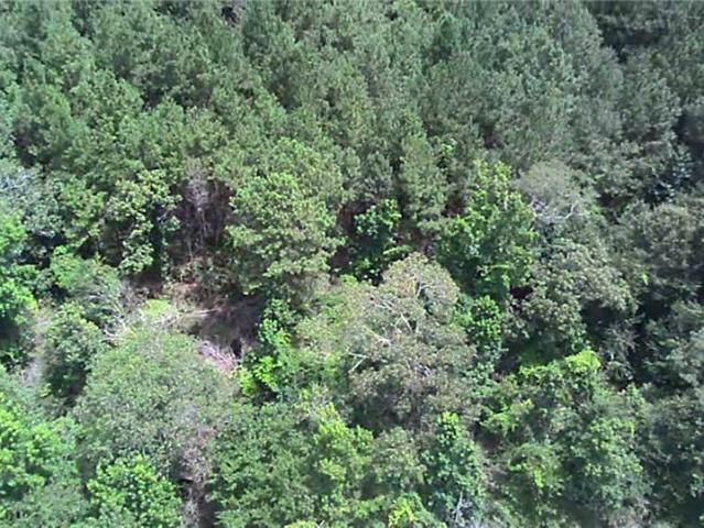 Land for sale in Angie, Louisiana