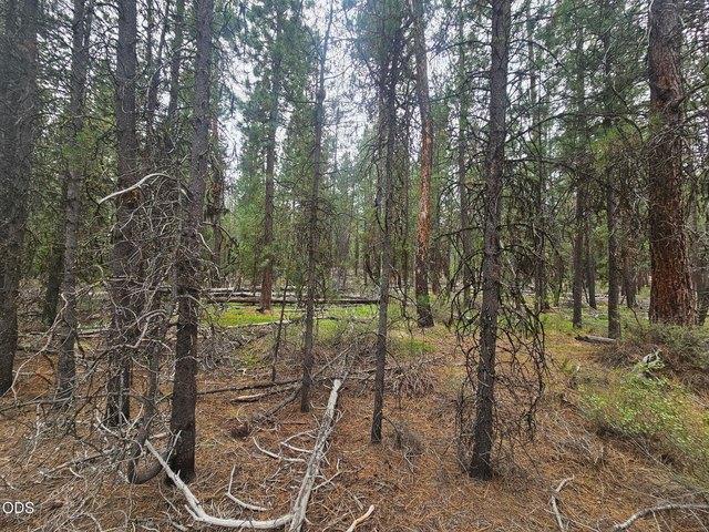 Land for sale in Oregonia