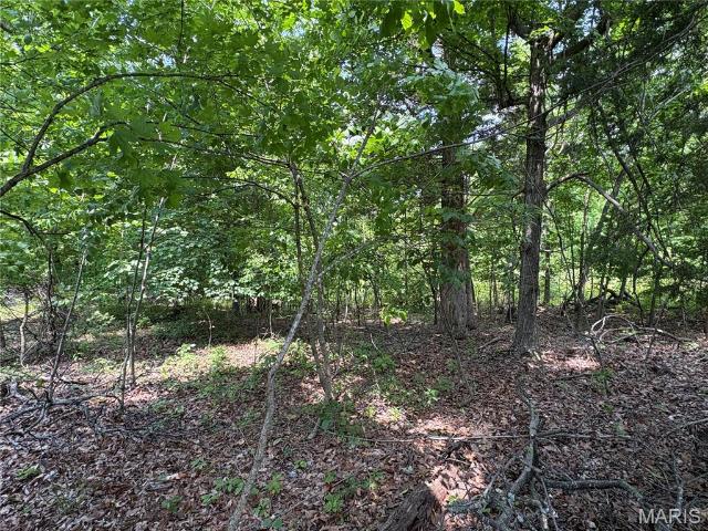 Land for sale in Perryville, Missouri