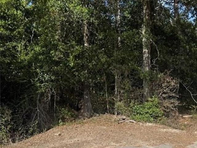 Land for sale in Tickfaw, Louisiana