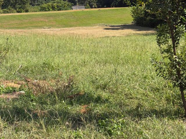 Land for sale in West Point, Georgia