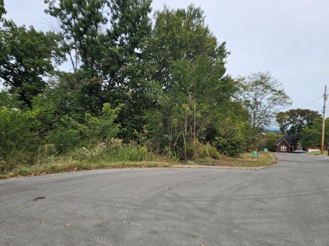 Land for sale in Cedar Forest, Smyrna