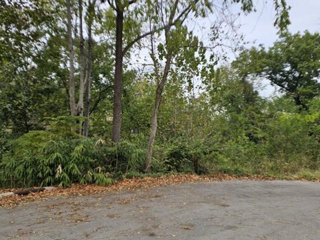 Land for sale in Cedar Forest, Smyrna