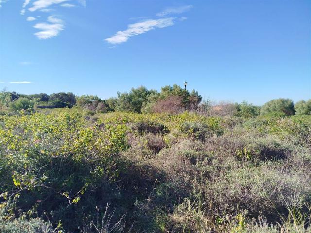 Land for sale in Bushmans River Mouth, Eastern Cape