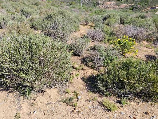 Land for sale in Western Cape