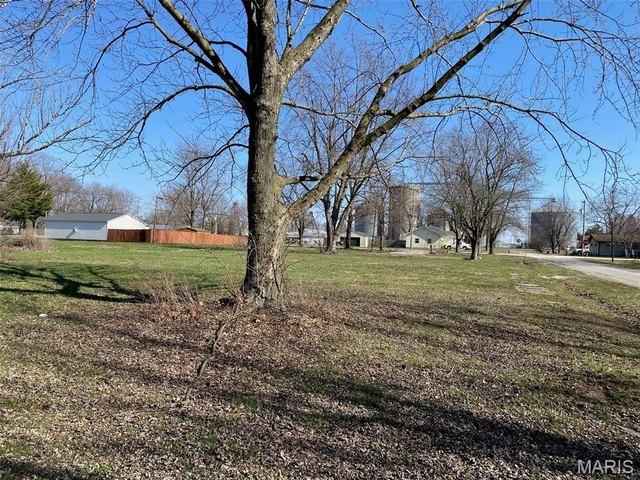 Land for sale in Witt, Illinois